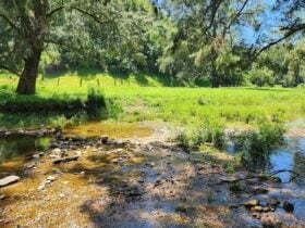 Greentree Valley Farm