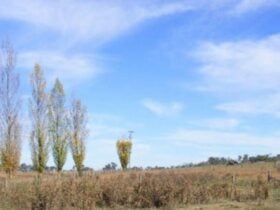 Guyra gateway to Copeton Dam