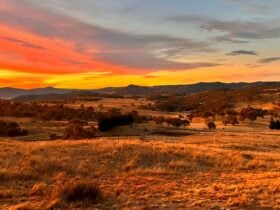 Harros Hill, Jindabyne