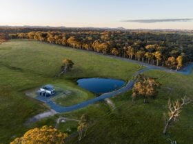 Blue Gum villa