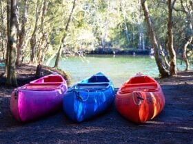 Kayaks