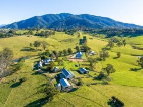 Relax on this working farm, enjoy the expansive views from your cabin or enjoying our walking trails