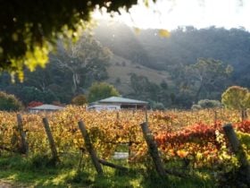 Home at Lake George Winery