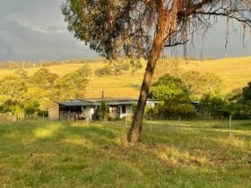 Honeysuckle Cottage