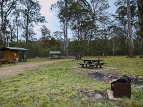 Horse Swamp campground, Barrington Tops State Conservation Area. Photo: John Spencer/NSW Government