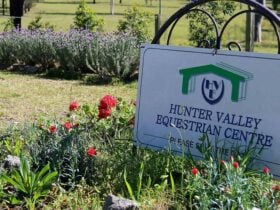 Hunter Valley Equestrian Centre