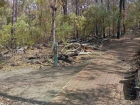 Park sign for Hurleys camp along the paved Breadknife and Grand High Tops walk, in Warrumbungle