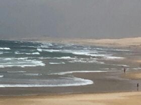 Iggys Haven @ Anna Bay