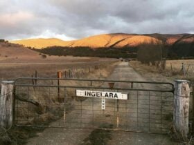 Ingelara Farm