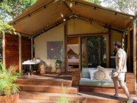 Ingenia Holidays Byron Bay Studio Safari Tent