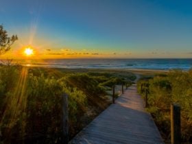 Boardwalk