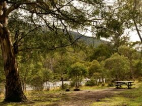 Island Bend campground, Mount Kosciuszko National Park. Photo: John Spencer/DPIE