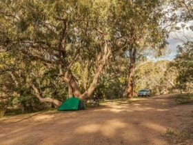 Jacobs River â Tongaroo campground, Kosciuszko National Park. Photo credit: Murray Vanderveer ©