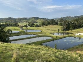 "JALUM" Undulating Farmland!