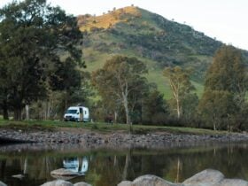 Jarabin on the Murrumbidgee