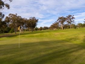 Junee Golf Club Primitive Camping