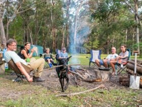 Campers enjoying the campfire