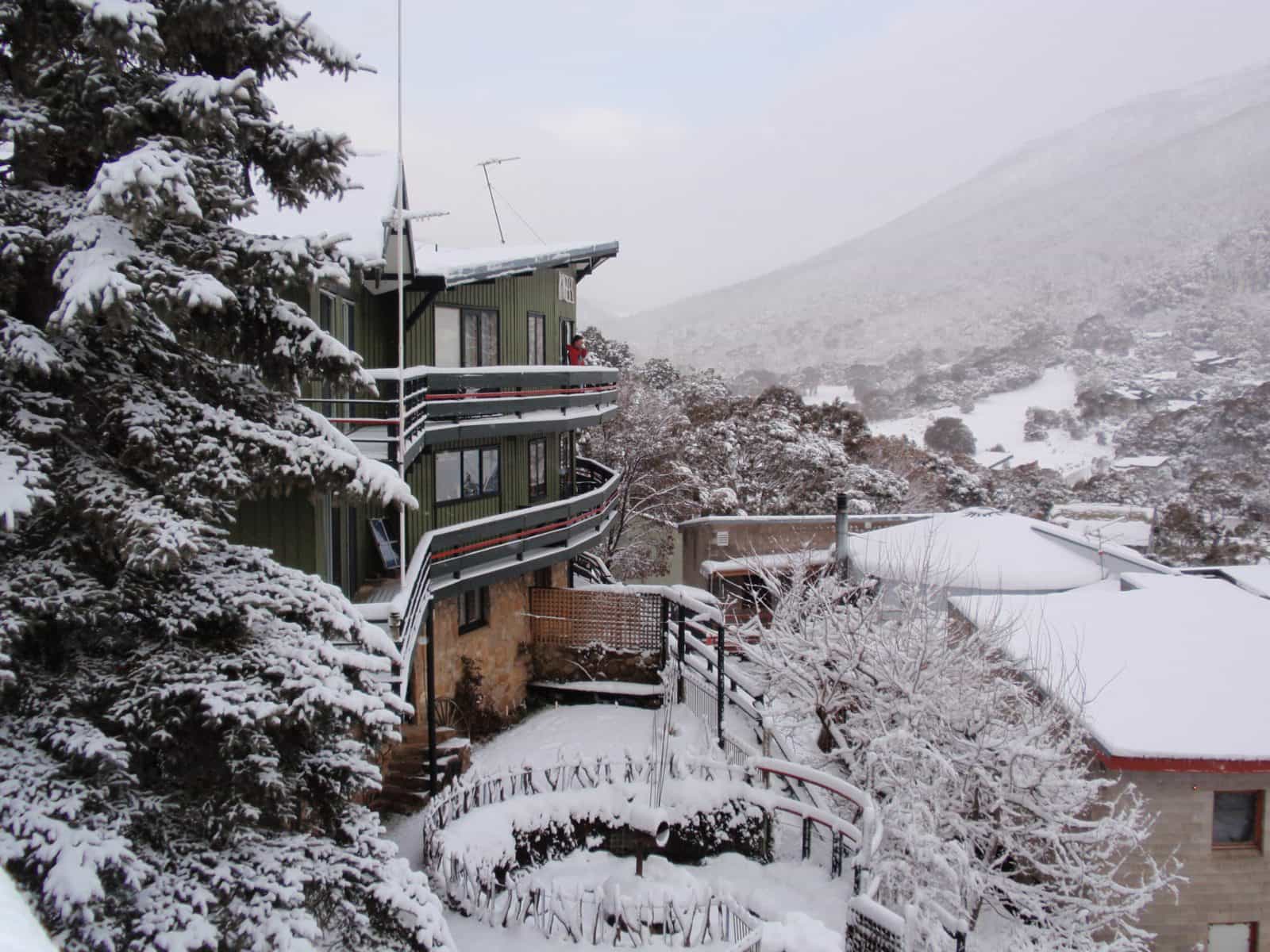 Kasees in snow