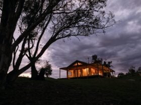 Nights shot