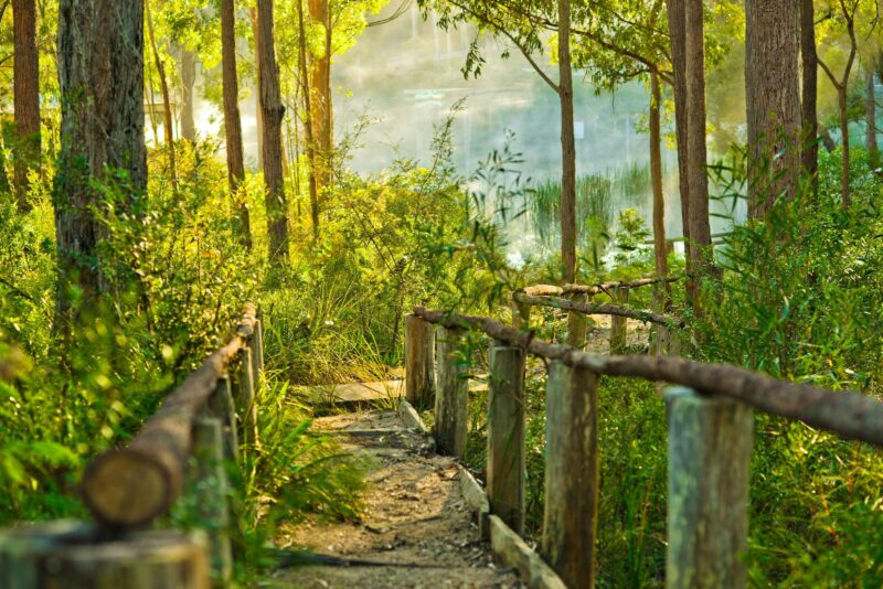 Walking Track