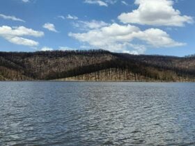 The Kangaroo River arm of Lake Yarrunga. Photo credit: Audrey Kutzner © DPIE