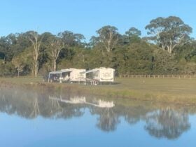 Lakestead Farm