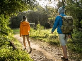 Trail hike