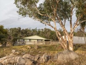 The exterior of Lavender Vale Cottage surrounded by trees in Kwiambal National Park. Photo ©