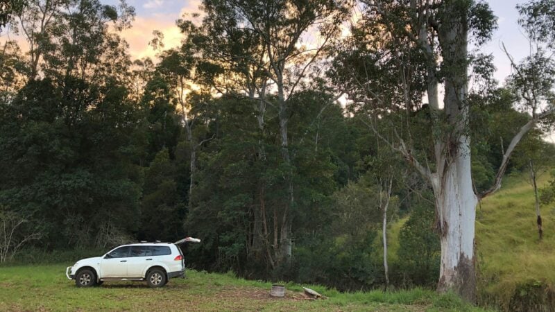 Levenvale Farm in Bellingen