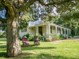 Lillians on Lovedale