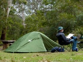 Long Gully campground tent, Budawang National Park. Photo: Lucas Boyd/DPIE
