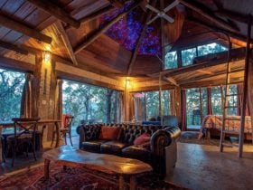 Dream Cabin Blue Mountains