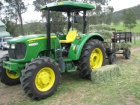 There is cows,horses, sheep,donkeys, goats, ducks, geese, birds turkeys and pig,chickens and much m
