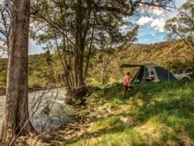 Lowells Flat campground, Brindabella National Park. Photo: Murray van der Veer/NSW Government