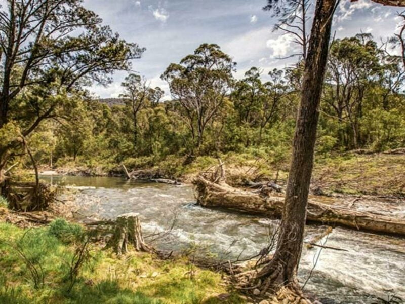 Lowells Flat campground, Brindabella National Park. Photo: Murray van der Veer/NSW Government