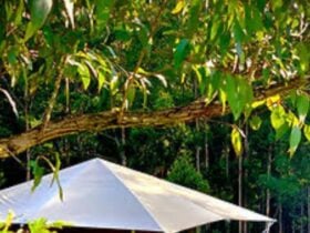 Luxury Glamping LilyPonds Retreat