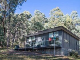 Lyrebird Cottage at Yarrangobilly Caves, Kosciuszko National Park. Photo: Boen Ferguson/OEH.