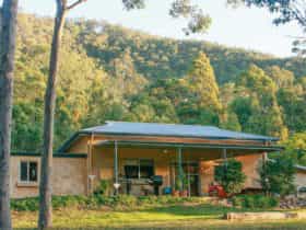 Lyrebird Studio