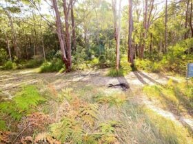 Mackaway Bay campground, Myall Lakes National Park. Photo: OEH