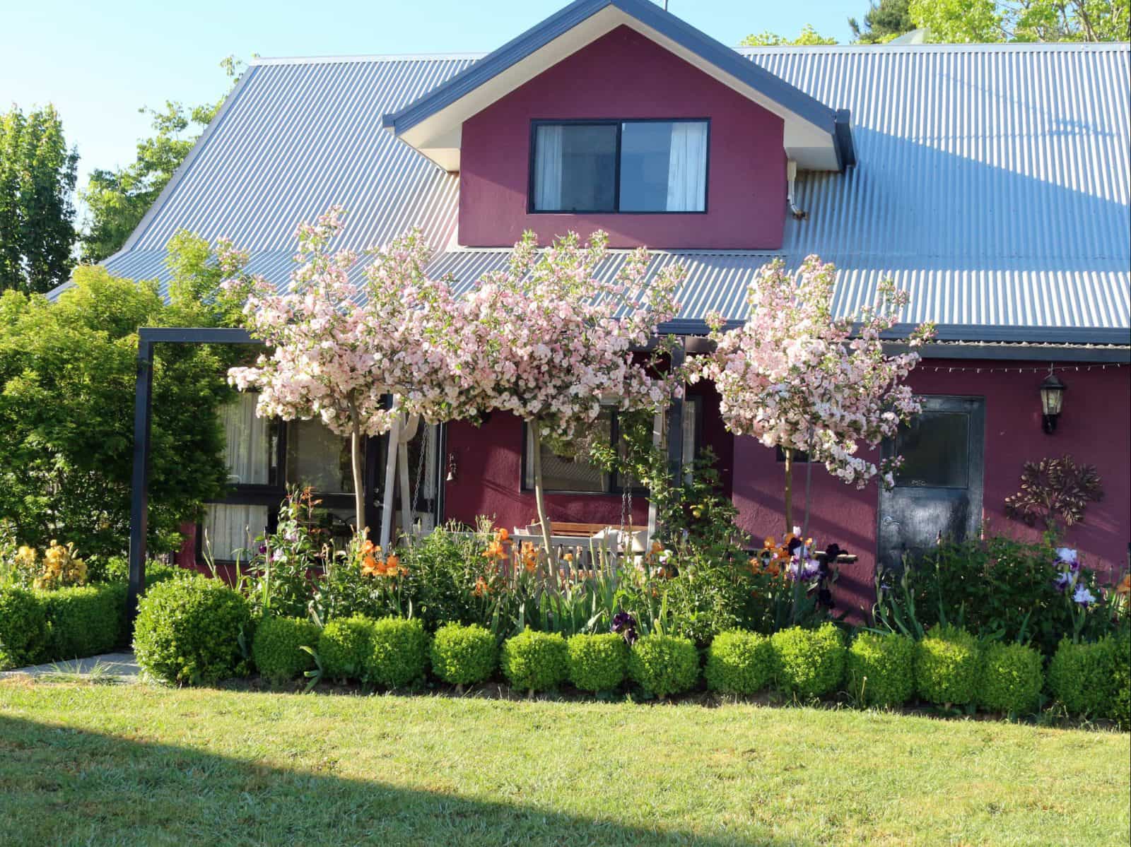 Magenta Cottage Garden