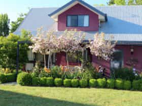 Magenta Cottage Garden