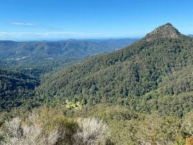 View from top of property