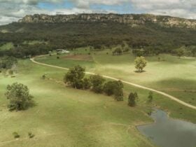 Maiden Jewel Camping Wingen