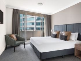 One Bedroom Apartment