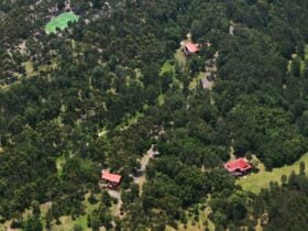 Melaleuca Seaside Retreat - Aerial view of forest, cottages and Tennis/Basketball court.