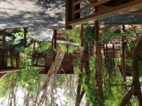 Cabins