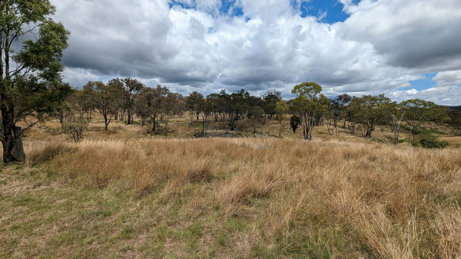 Meroo Hills