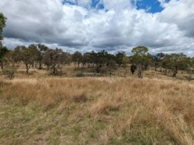 Meroo Hills