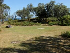 Middle Beach campground, Mimosa Rocks National Park. Photo: John Yurasek Copyright:NSW Government