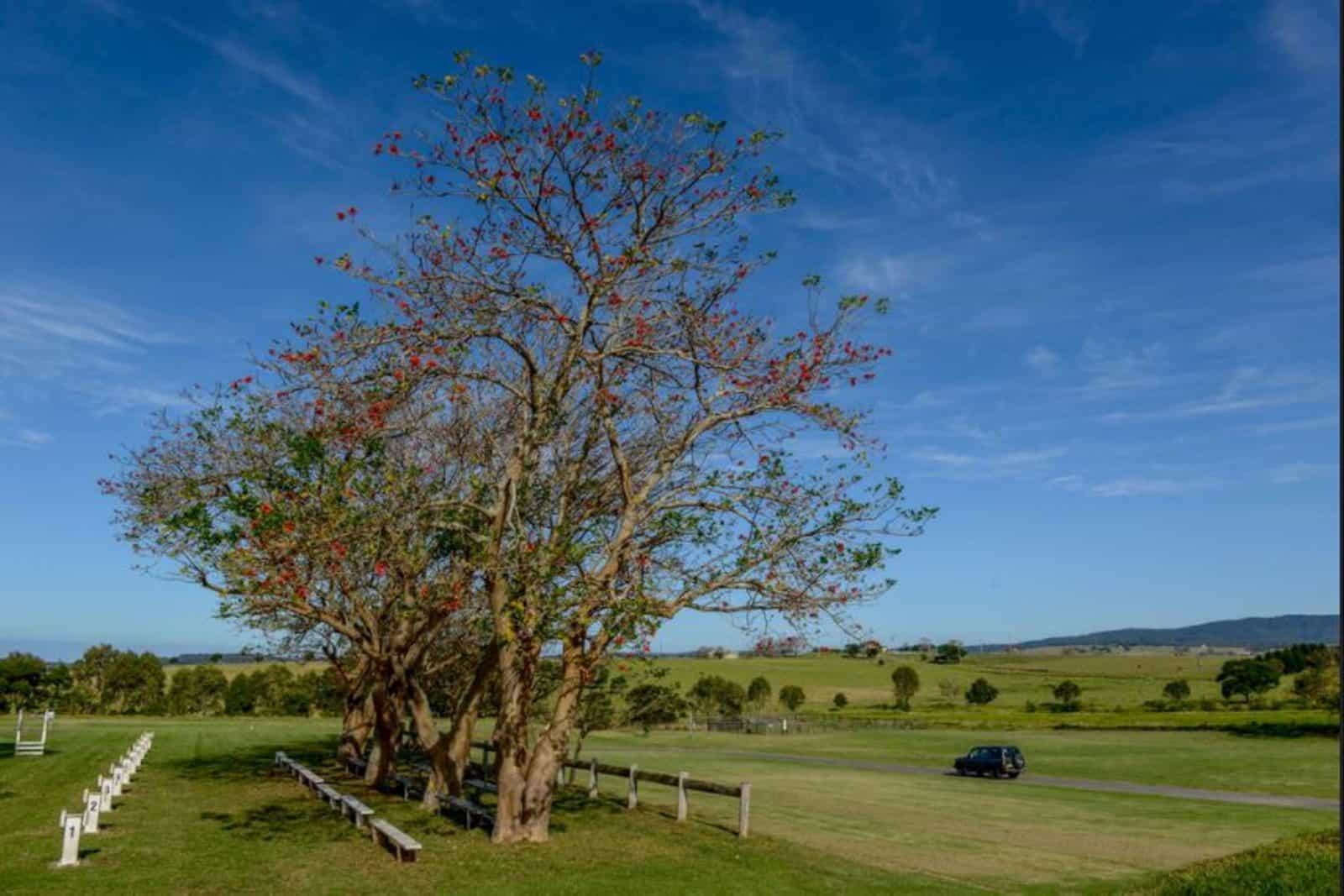 Milton Showground camp sites